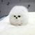 Fluf Joga