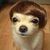 Davi skywars