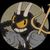 Silve V.O