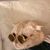 Louie tired