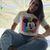 Ginival Moreira