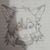 Glitched Fox