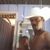 Arlindo Silva