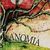 Anomia Geral