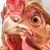 Chick Little