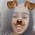 Alisson Henrique