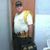 Waldir Rodrigues