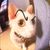 Mew Miau