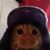 gluppy