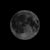 NoctiAlma