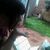 Ingrid