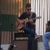 Pedro Thurler