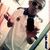 Filipe Alves