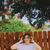 Hannah Montenegro