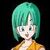 Bulma Briefs