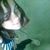 Hemilayne