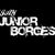 Junior Borges