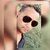 Juniortelis