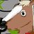 ze cavalo