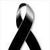 Weliton Araujo