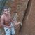Pachecogilberto23