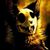 Wild WolfDark_YT