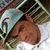 Rodrigo Lima Guedes