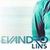 Evandro Lins