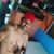 Gomess Ro Johnleno