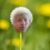 Joon