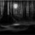 Dark Night