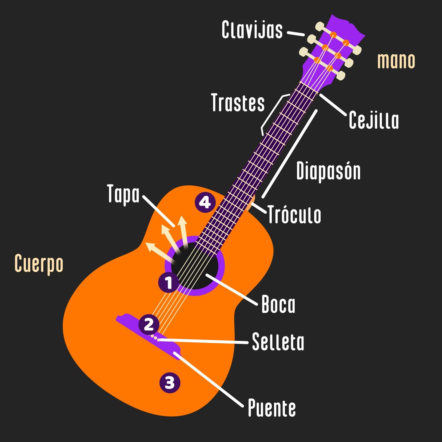 Anatomía de la guitarra ¡Descubre cómo el sonido llega a tus oídos