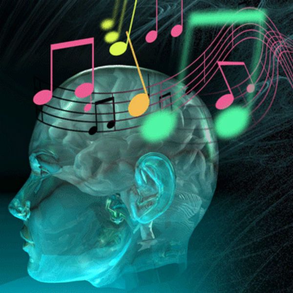 A percepção musical é uma linguagem que precisa ser bastante estuda