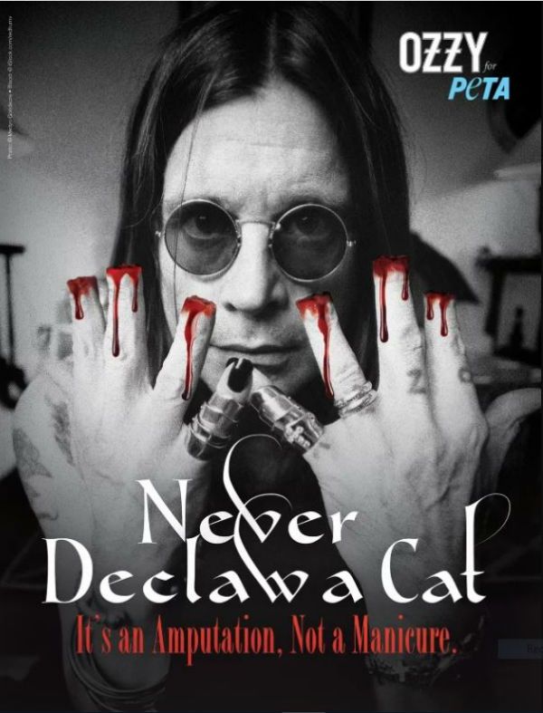 Ozzy Osbourne aparece sem as pontas dos dedos em apoio ao PETA na luta contra multilação de gatos