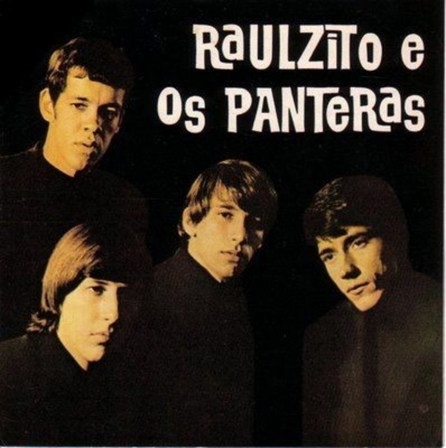Capa do disco Raulzito e Os Panteras