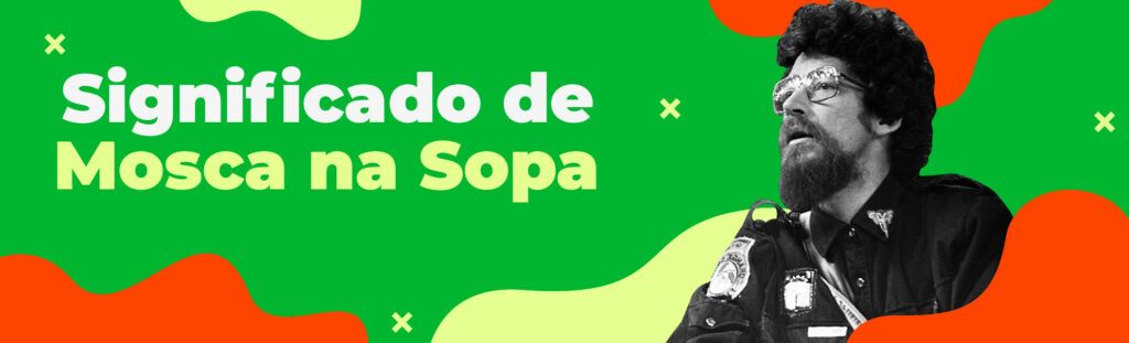 Significado Mosca Na Sopa Raul Seixas