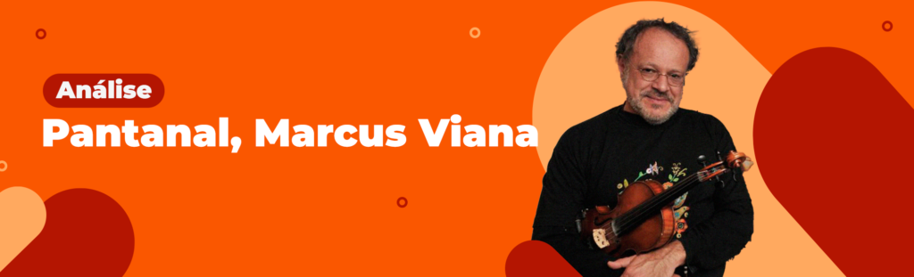 Analise da musica Pantanal