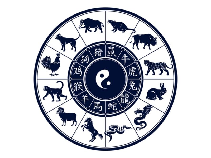 signos coreanos horóscopo com 12 animais