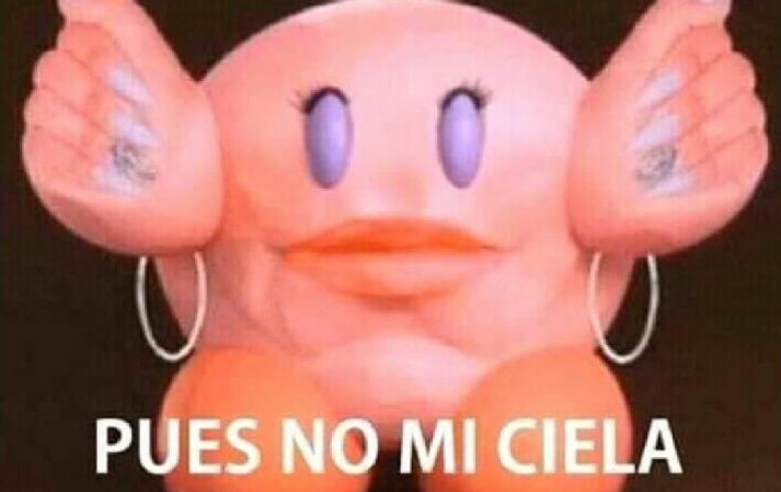 meme de uma bonequinha cor de rosa maquiada e com as unhas feitas, com a legenda: pues no mi ciela