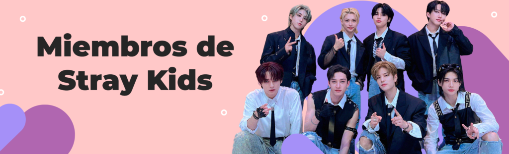 Artículo sobre los miembros de Stray Kids