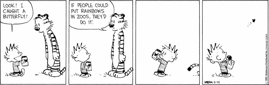 Calvin and Robbs