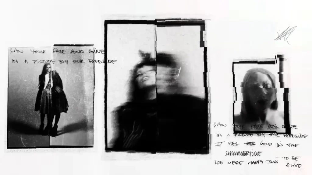 Clipe de Vanish Into You, Lady Gaga