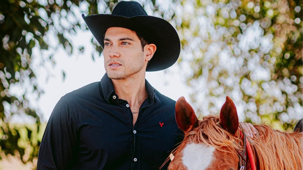 will guimarães a fazenda 17