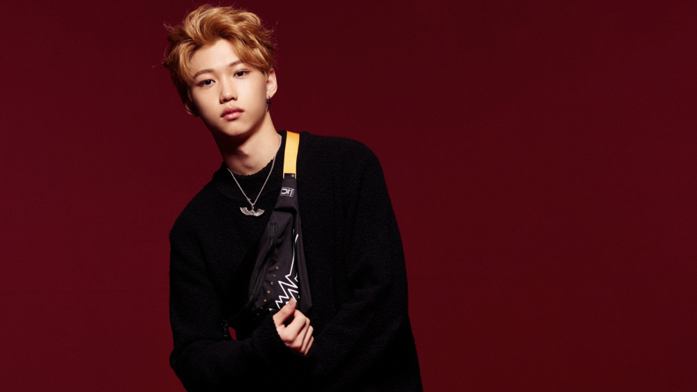 felix stray kids pre debut