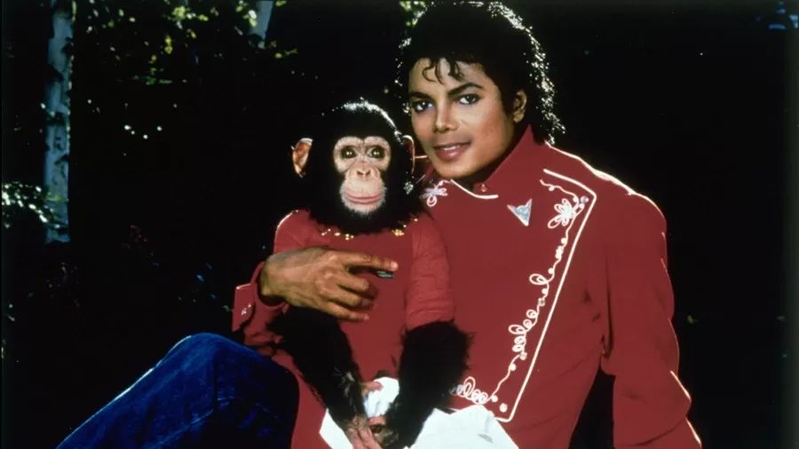 Michael e Bubbles