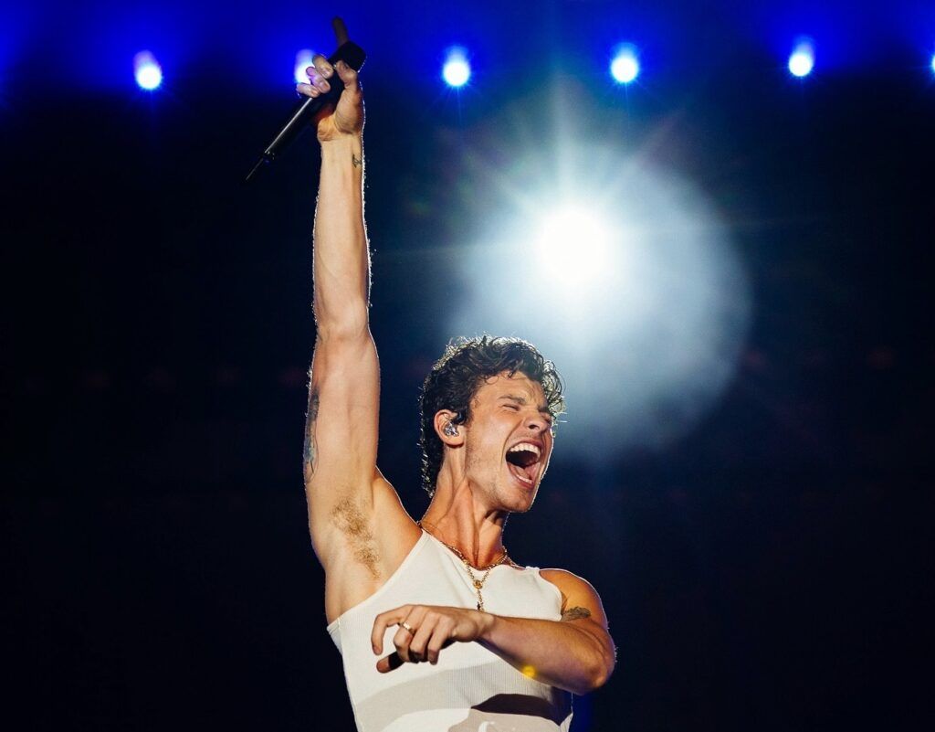 lollapalooza brasil 2025 shawn mendes