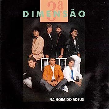 Portada de Álbum "Na Hora do Adeus", de Terceira Dimensão