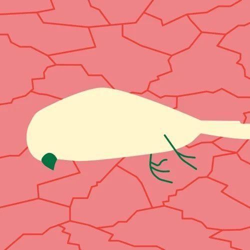 Portada de Sencillo/EP "Armário", de Clã