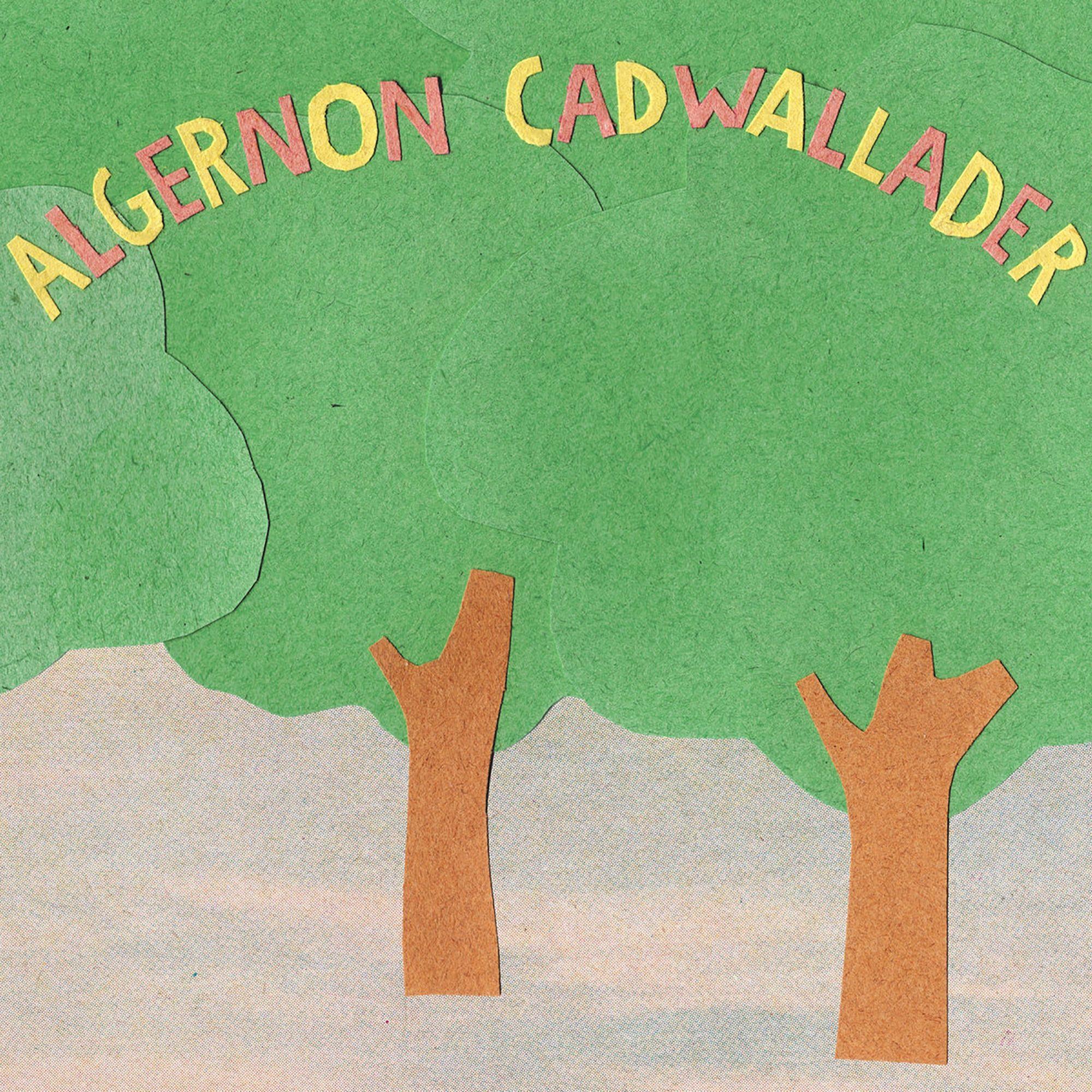 Portada de Álbum "Some Kind Of Cadwallader", de Algernon Cadwallader