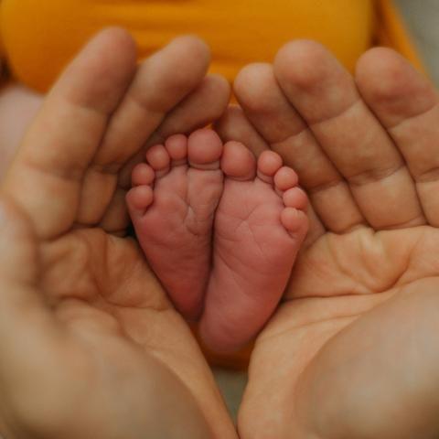 Portada de Sencillo/EP "Meu Pequeno Évan", de Aline Fontes